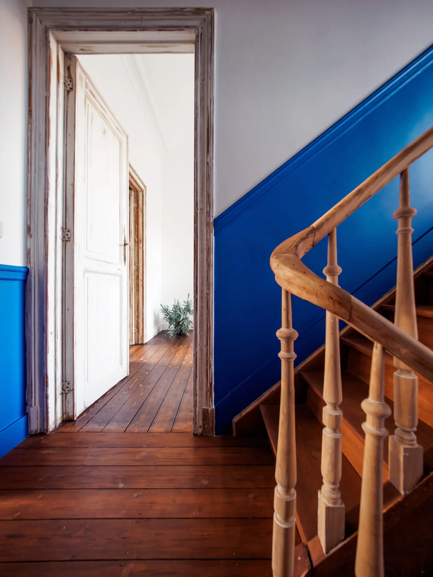 DELANNOY Renovation of a single-family house, Photo staircase