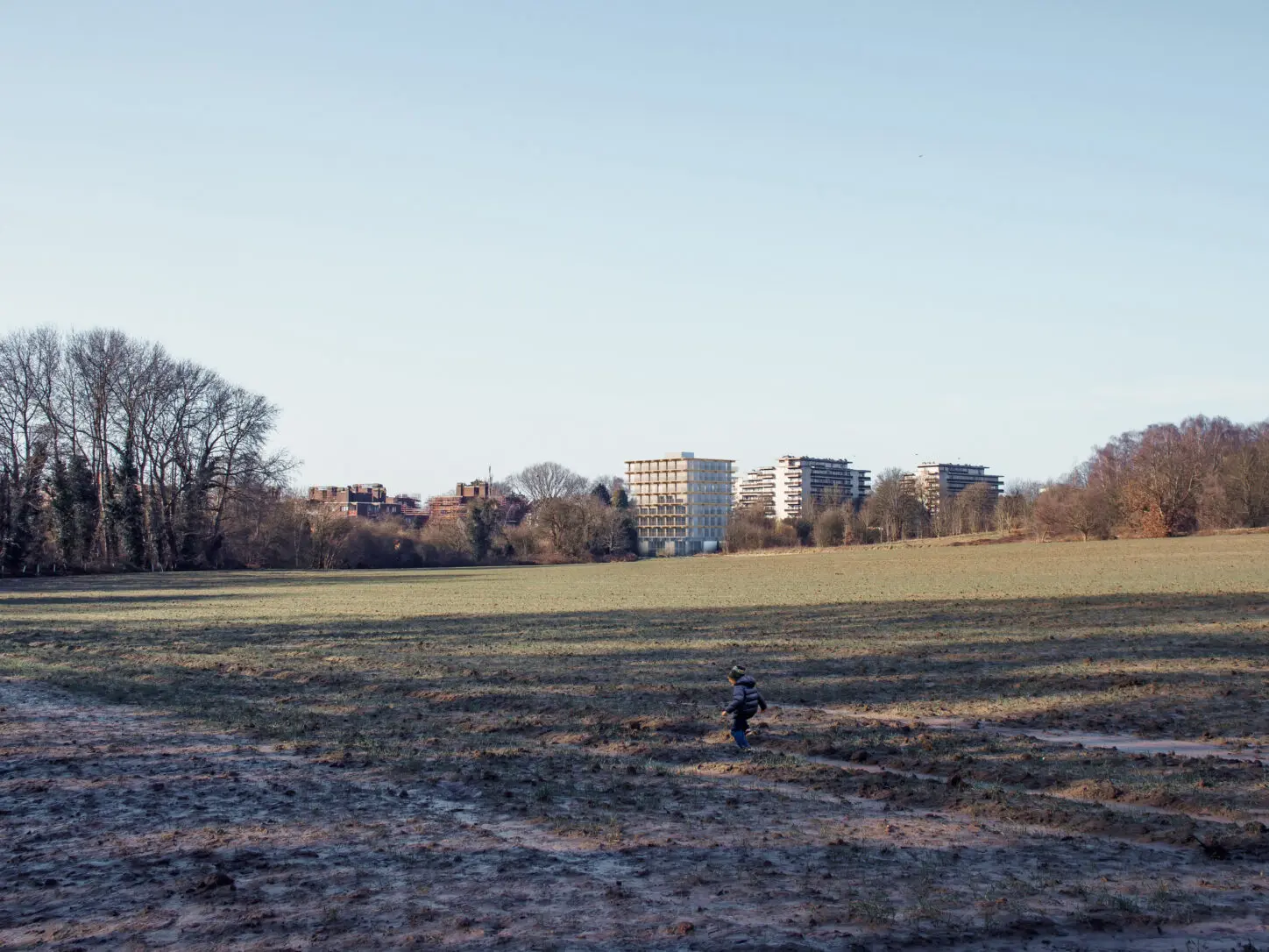 MOUTONS, Urban villa as intergenerational collective housing, view from field