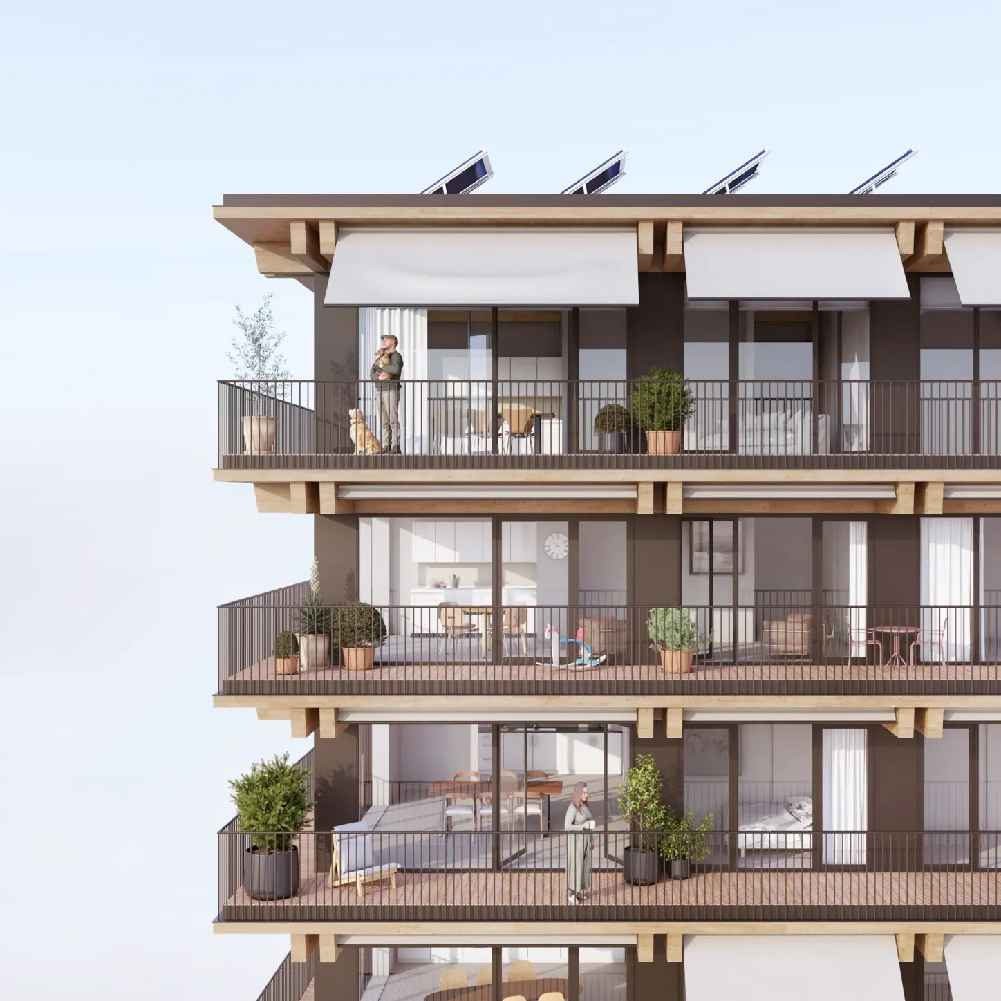 MOUTONS, Urban villa as intergenerational collective housing, terraces