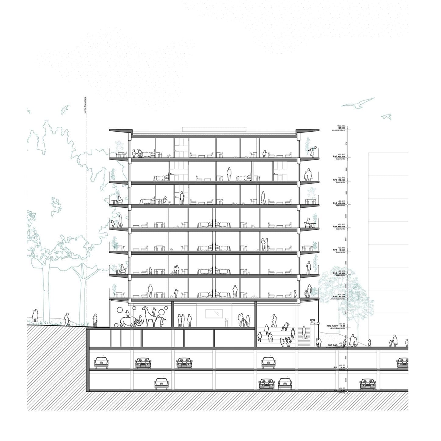 EVENEPOEL Urban villa as a social catalyst, section through the building with its deep terraces